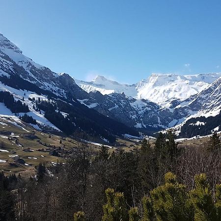 Hotel Crystal Adelboden Extérieur photo
