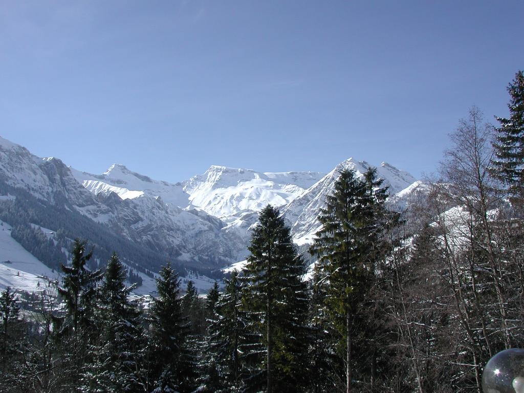 Hotel Crystal Adelboden Extérieur photo