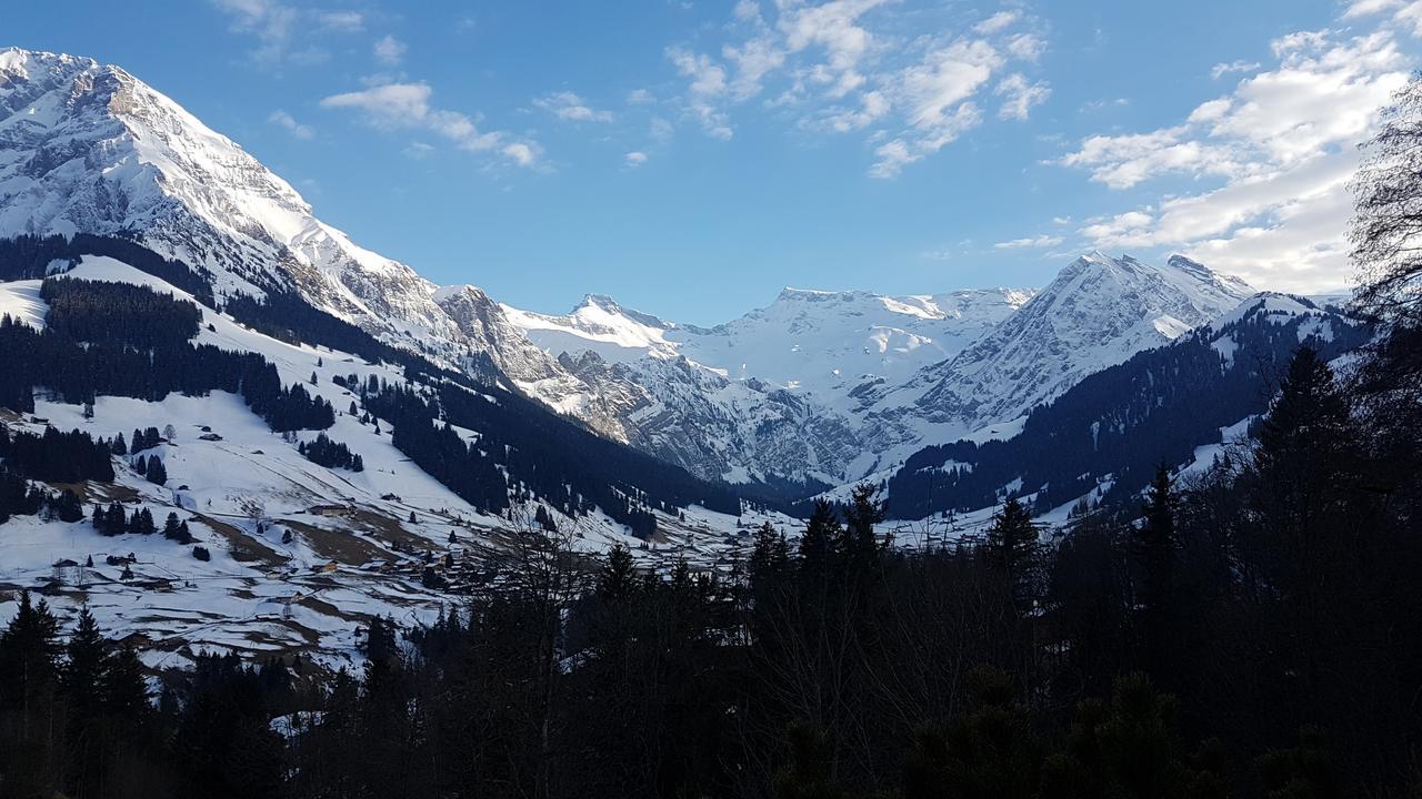 Hotel Crystal Adelboden Extérieur photo