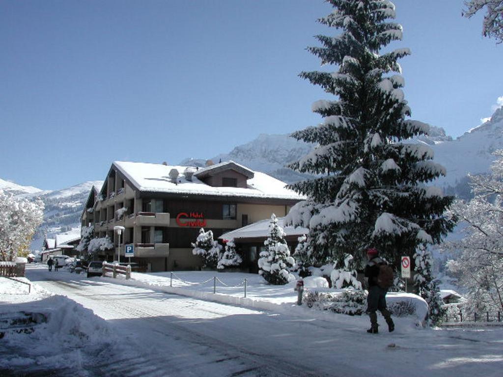 Hotel Crystal Adelboden Extérieur photo